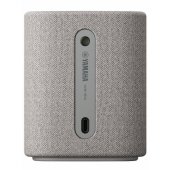 WS-B1A Light Gray