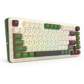 K681CGC-RGB-PRO Cyrus (EN)