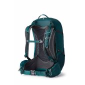 Gregory Juno RC 30 l hiking backpack Green