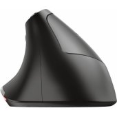 Bayo Black
