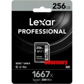Professional 1667x SDXC 256GB