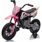 Motor PANTONE 361C Pink