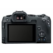 EOS-R8 + RF 24-50mm F4.5-6.3 IS STM Kit