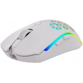 POLARIS white AQI-GA-MO-4