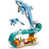 31385 Beautiful Dolphins