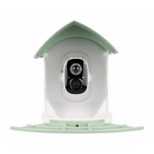 RD001 White/ Green