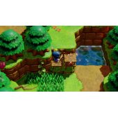 Legend of Zelda: Echoes of Wisdom Switch