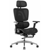 Expert 7.9 Black