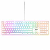 RK 918 White Blue Switch (US)