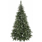 CT0078 220cm
